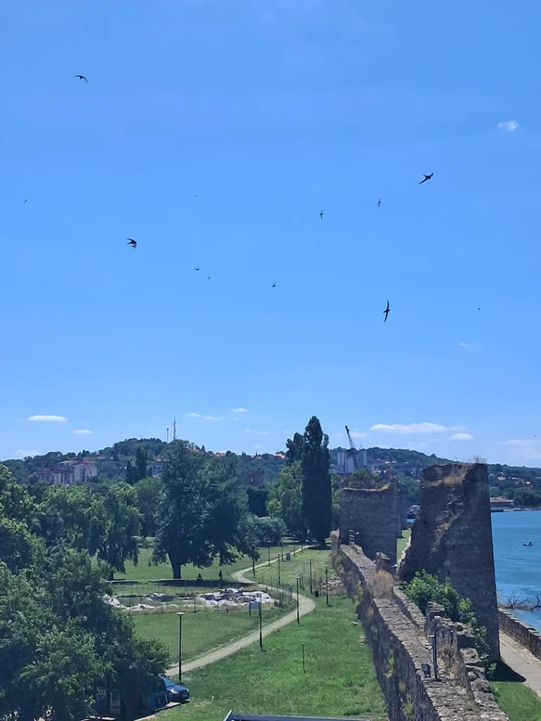 Na vratima istočne Srbije – Smederevska tvrđava