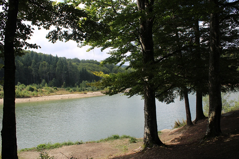 Jezero Selište