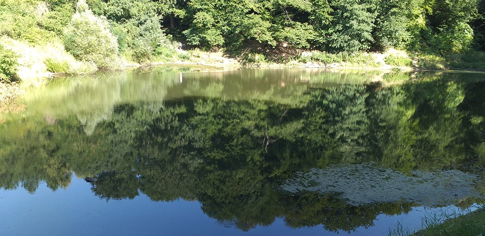 Jezero na Popovici, Fruška gora