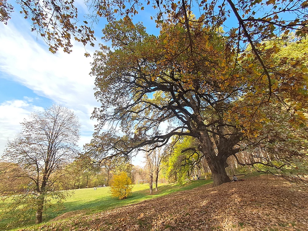 Kamenički park
