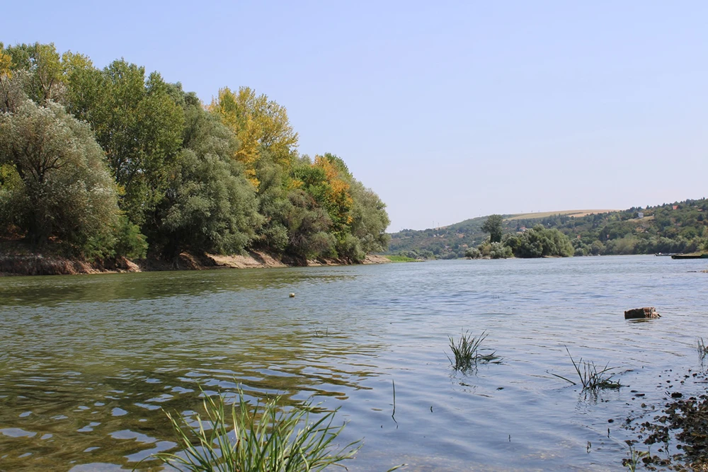 Dunav kod Krčedina