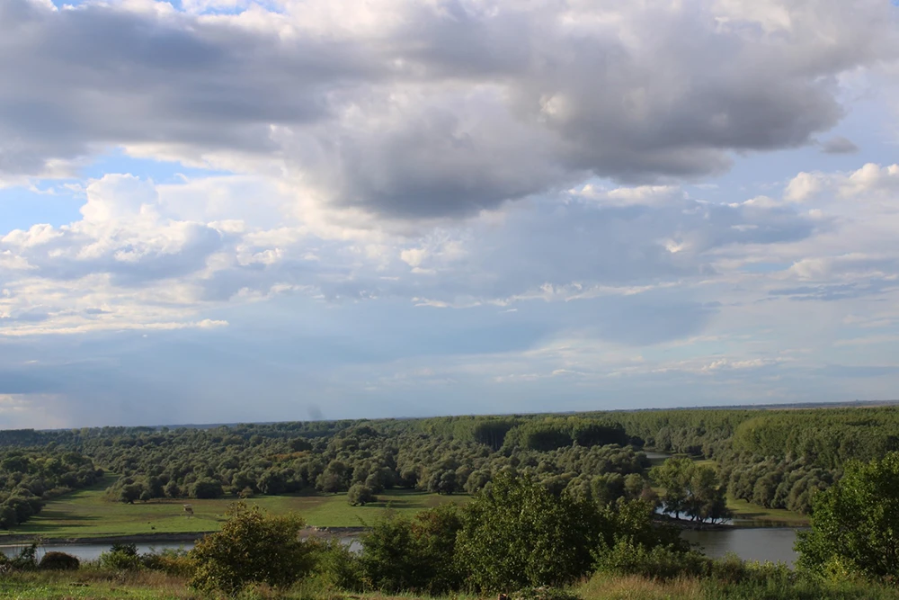 Krčedinska ada
