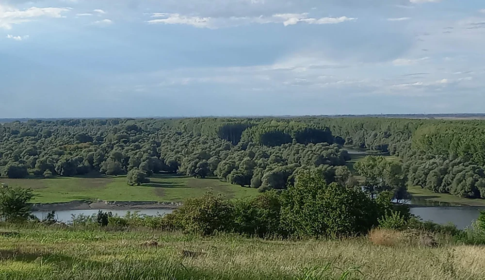 Krčedinska ada
