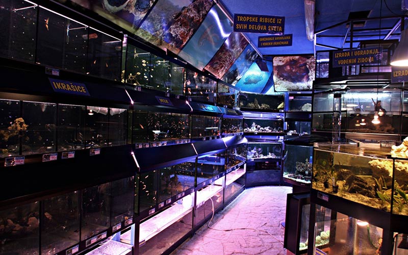 Aquarialife