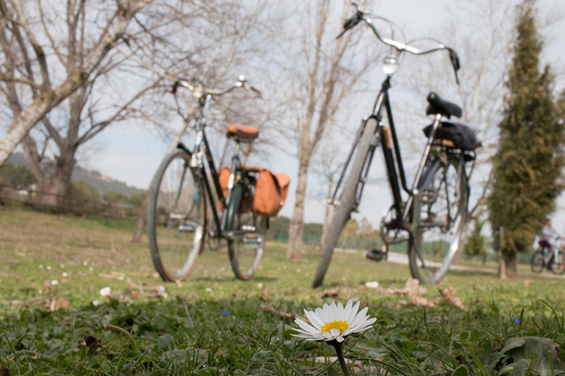 dv bicikla parkirana na livadi sa cvetom u vidnom polju