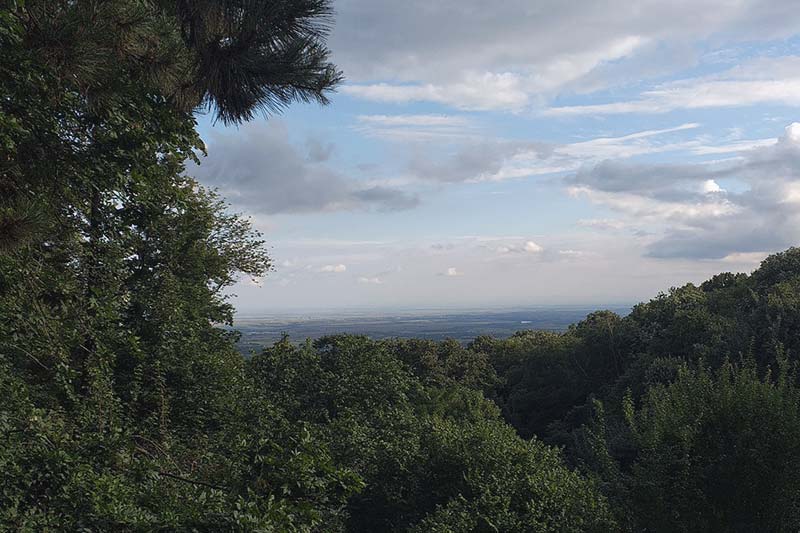 Pogled sa Fruške gore