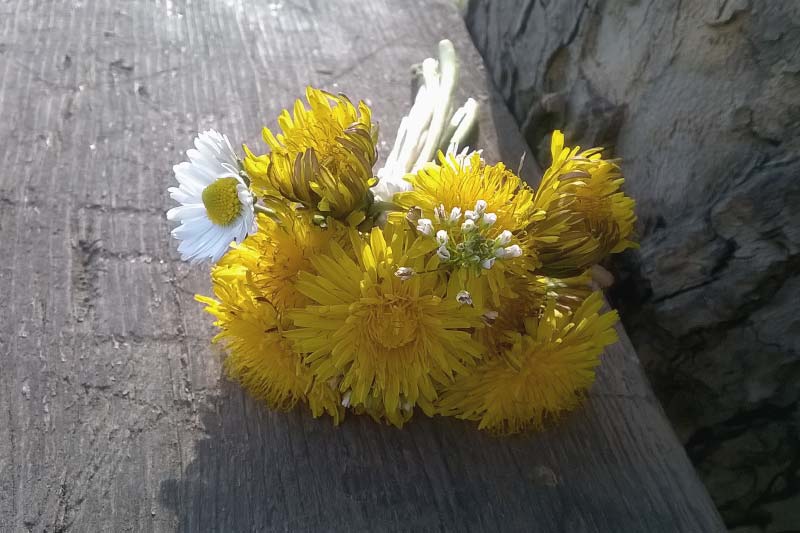 Roštilj u etno selu Slatkovac