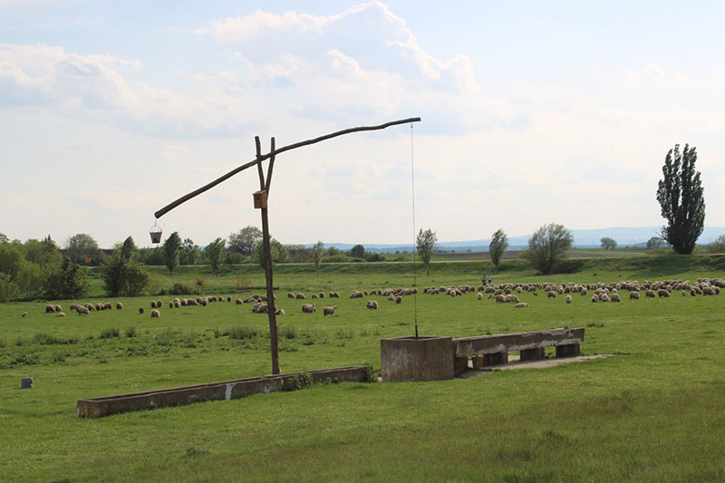Kalvarija na Lesnom ostrvu