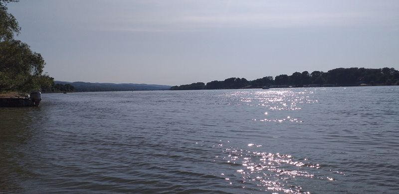 voda Dunava i zelenilo na obali