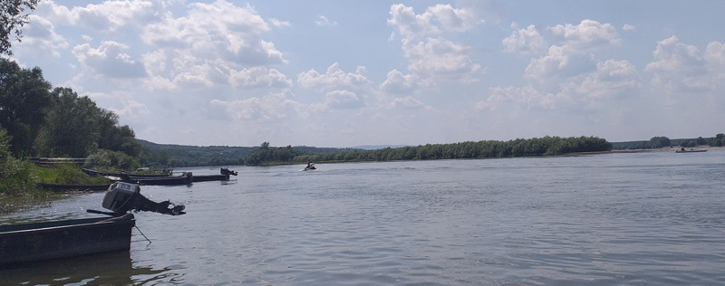 Dunav kod Krčedinske ade sa zelenilom na obali