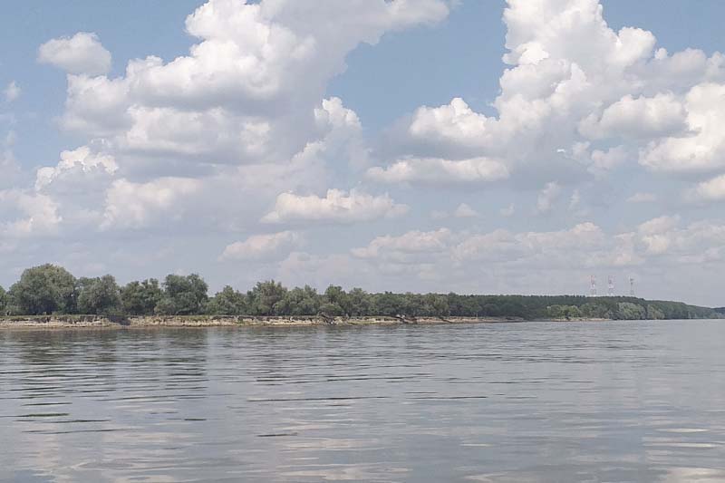 Krčedinska ada na Dunavu