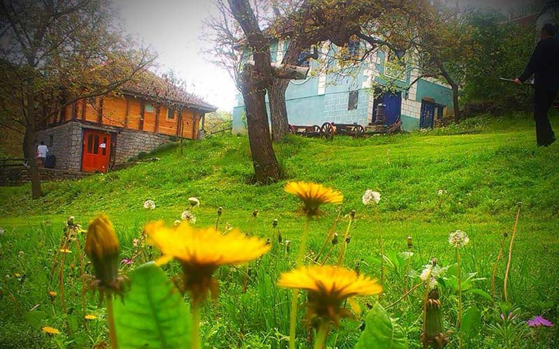 dvorište sa zelenom travom i maslačcima, dve starinske kuće