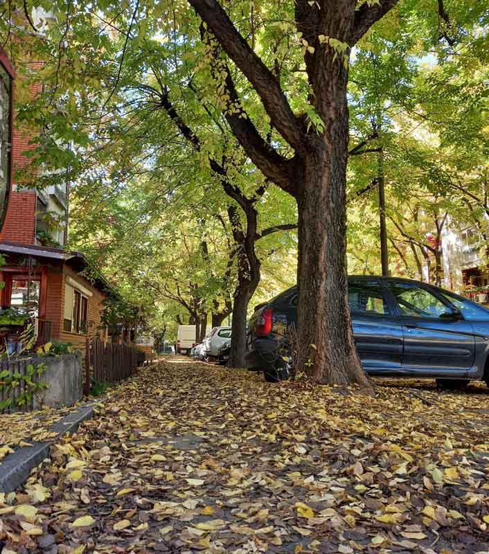 novosadska ulica u jesen sa parkingom automobla