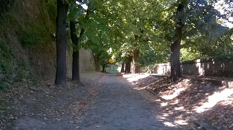 Petrovaradinska tvrđava i kaldrma na nizbrdici, bedem kandilaberi i drveće duž kaldrme
