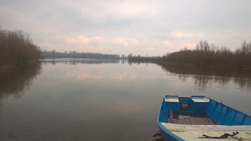 Stari Slankamen Dunav