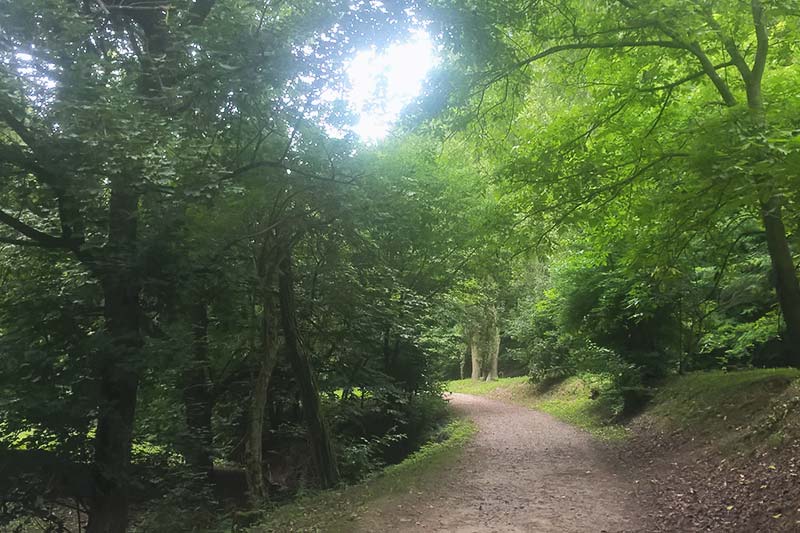 Stražilovo na Fruškoj gori