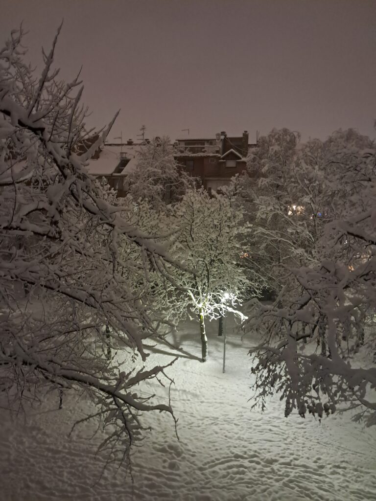 novosadski park zimi