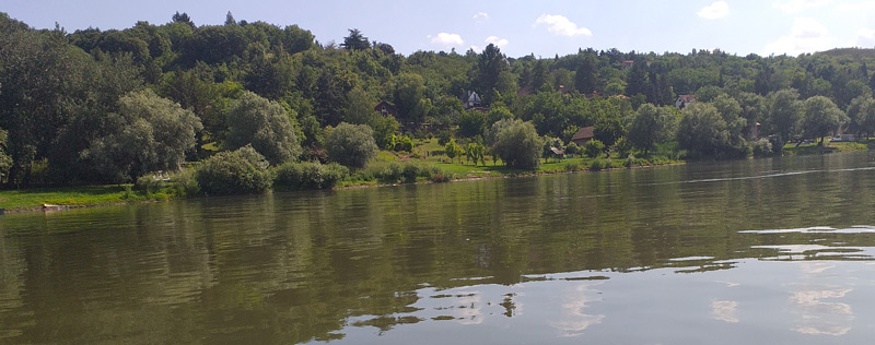 Dunav sa zelenom obalom kod Krčedina